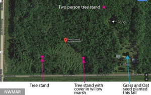 Photo for 29931 Todroff Road NW, Grygla, MN 56727 - Listing #5655884 29931 Todroff Road NW, Grygla, MN 56727