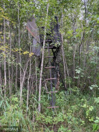 Photo for 29931 Todroff Road NW, Grygla, MN 56727 - Listing #5655884 29931 Todroff Road NW, Grygla, MN 56727