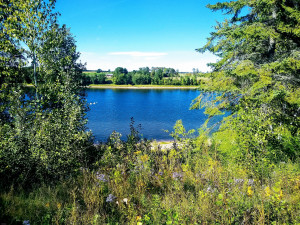 Photo for 3011 Town Road 211, International Falls, MN 56649 - Listing #5659412 3011 Town Road 211, International Falls, MN 56649