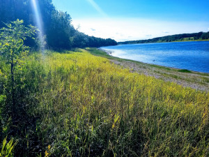Photo for 3011 Town Road 211, International Falls, MN 56649 - Listing #5659412 3011 Town Road 211, International Falls, MN 56649