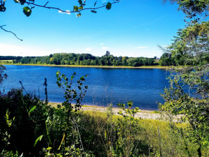 Photo for 3011 Town Road 211, International Falls, MN 56649 - Listing #5659412 3011 Town Road 211, International Falls, MN 56649