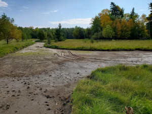 Photo for TBD Pickerel Rd, Laporte, MN 56461 - Listing #5662149 TBD Pickerel Rd, Laporte, MN 56461