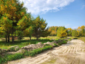 Photo for TBD Pickerel Rd, Laporte, MN 56461 - Listing #5662149 TBD Pickerel Rd, Laporte, MN 56461