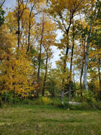 Photo for TBD Pickerel Rd, Laporte, MN 56461 - Listing #5662149 TBD Pickerel Rd, Laporte, MN 56461