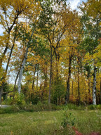 Photo for TBD Pickerel Rd, Laporte, MN 56461 - Listing #5662149 TBD Pickerel Rd, Laporte, MN 56461