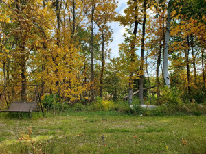 Photo for TBD Pickerel Rd, Laporte, MN 56461 - Listing #5662149 TBD Pickerel Rd, Laporte, MN 56461