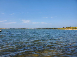 Photo for TBD Pickerel Rd, Laporte, MN 56461 - Listing #5662149 TBD Pickerel Rd, Laporte, MN 56461