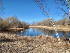 Photo for 1315 22nd Avenue NW, Baudette, MN 56623 - Listing #5606403 1315 22nd Avenue NW, Baudette, MN 56623