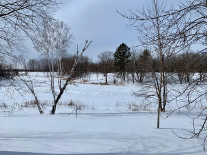 Photo for 1315 22nd Avenue NW, Baudette, MN 56623 - Listing #5606403 1315 22nd Avenue NW, Baudette, MN 56623