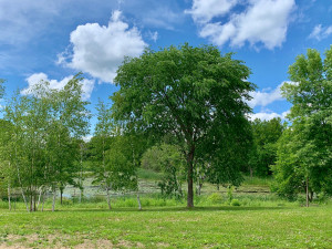 Photo for 1315 22nd Avenue NW, Baudette, MN 56623 - Listing #5606403 1315 22nd Avenue NW, Baudette, MN 56623
