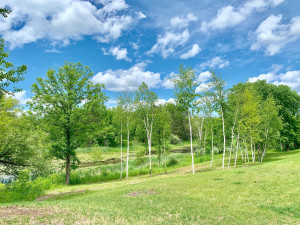 Photo for 1315 22nd Avenue NW, Baudette, MN 56623 - Listing #5606403 1315 22nd Avenue NW, Baudette, MN 56623