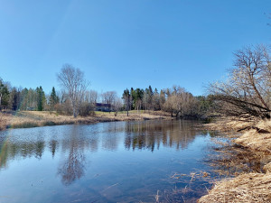 Photo for 1315 22nd Avenue NW, Baudette, MN 56623 - Listing #5606403 1315 22nd Avenue NW, Baudette, MN 56623