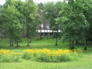 Photo for 3192 Town Road 207, International Falls, MN 56649 - Listing #5327111 3192 Town Road 207, International Falls, MN 56649