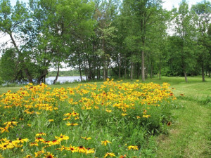 Photo for 3192 Town Road 207, International Falls, MN 56649 - Listing #5327111 3192 Town Road 207, International Falls, MN 56649