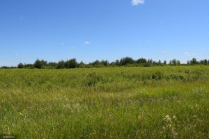 Photo for 0 460th St NW, Karlstad, MN 56732 - Listing #5645239 0 460th St NW, Karlstad, MN 56732