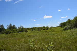 Photo for 0 460th St NW, Karlstad, MN 56732 - Listing #5645239 0 460th St NW, Karlstad, MN 56732