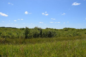 Photo for 0 460th St NW, Karlstad, MN 56732 - Listing #5645239 0 460th St NW, Karlstad, MN 56732