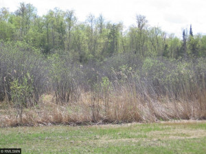 Photo for 738 Golden Eye Trail NW, Walker, MN 56484 - Listing #5671743 738 Golden Eye Trail NW, Walker, MN 56484