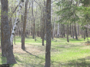 Photo for 738 Golden Eye Trail NW, Walker, MN 56484 - Listing #5671743 Park like setting...the serenity will melt your heart