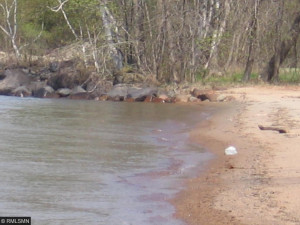 Photo for 738 Golden Eye Trail NW, Walker, MN 56484 - Listing #5671743 738 Golden Eye Trail NW, Walker, MN 56484