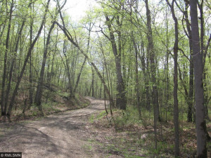 Photo for 738 Golden Eye Trail NW, Walker, MN 56484 - Listing #5671743 A canopy of leaves covers your private road in...