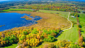 Photo for TBD - 31.5 County Road 3, Becida, MN 56678 - Listing #5672997 TBD - 31.5 County Road 3, Becida, MN 56678