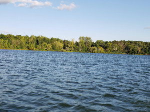 Photo for 21230 Irvine Avenue NW, Bemidji, MN 56601 - Listing #5501454 21230 Irvine Avenue NW, Bemidji, MN 56601
