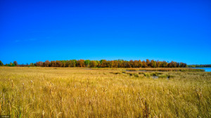 Photo for TBD - 14 A County Road 3, Becida, MN 56678 - Listing #5672955 TBD - 14 A County Road 3, Becida, MN 56678