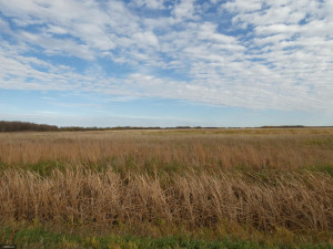 Photo for 23244 350th Street, Badger, MN 56714 - Listing #5674221 23244 350th Street, Badger, MN 56714