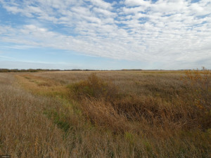 Photo for 23244 350th Street, Badger, MN 56714 - Listing #5674221 23244 350th Street, Badger, MN 56714