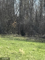 Photo for 2965 Bankton Road SW, Baudette, MN 56623 - Listing #5674632 2965 Bankton Road SW, Baudette, MN 56623
