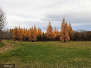 Photo for 2965 Bankton Road SW, Baudette, MN 56623 - Listing #5674632 2965 Bankton Road SW, Baudette, MN 56623