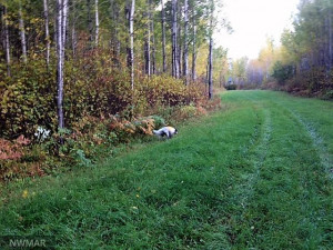 Photo for 2965 Bankton Road SW, Baudette, MN 56623 - Listing #5674632 2965 Bankton Road SW, Baudette, MN 56623