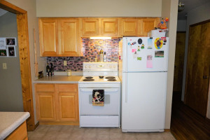 Photo for 32598 482nd Avenue, Salol, MN 56756 - Listing #5582043 32598 482nd Avenue, Salol, MN 56756