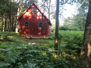 Photo for xxx Tamarack River Rd, Hinckley, MN 55037 - Listing #5675491 xxx Tamarack River Rd, Hinckley, MN 55037
