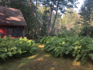 Photo for xxx Tamarack River Rd, Hinckley, MN 55037 - Listing #5675491 xxx Tamarack River Rd, Hinckley, MN 55037