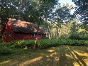 Photo for xxx Tamarack River Rd, Hinckley, MN 55037 - Listing #5675491 xxx Tamarack River Rd, Hinckley, MN 55037