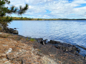 Photo for 3154 Woolverton Rd, Cook, MN 55723 - Listing #4995556 3154 Woolverton Rd, Cook, MN 55723