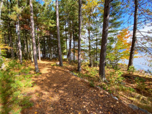 Photo for 3154 Woolverton Rd, Cook, MN 55723 - Listing #4995556 3154 Woolverton Rd, Cook, MN 55723