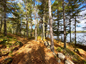 Photo for 3154 Woolverton Rd, Cook, MN 55723 - Listing #4995556 3154 Woolverton Rd, Cook, MN 55723