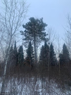 Photo for xxx County Road 2, Shevlin, MN 56676 - Listing #5680101 xxx County Road 2, Shevlin, MN 56676