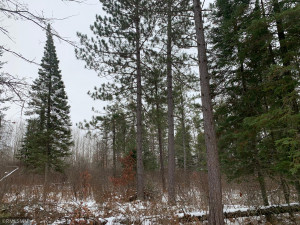 Photo for xxx County Road 2, Shevlin, MN 56676 - Listing #5680101 xxx County Road 2, Shevlin, MN 56676