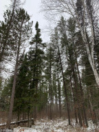 Photo for xxx County Road 2, Shevlin, MN 56676 - Listing #5680101 xxx County Road 2, Shevlin, MN 56676