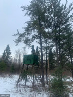 Photo for xxx County Road 2, Shevlin, MN 56676 - Listing #5680101 xxx County Road 2, Shevlin, MN 56676