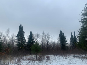 Photo for xxx County Road 2, Shevlin, MN 56676 - Listing #5680101 xxx County Road 2, Shevlin, MN 56676
