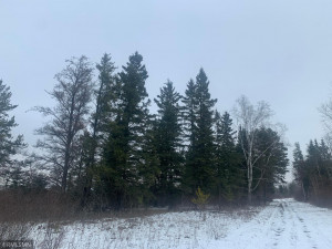 Photo for xxx County Road 2, Shevlin, MN 56676 - Listing #5680101 xxx County Road 2, Shevlin, MN 56676