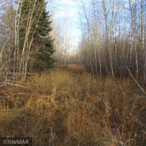 Photo for 1066 County Road 1 SE, Baudette, MN 56623 - Listing #5682950 1066 County Road 1 SE, Baudette, MN 56623
