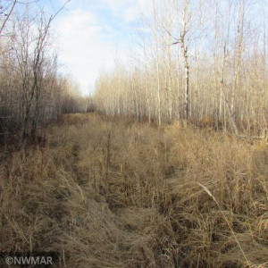 Photo for 1066 County Road 1 SE, Baudette, MN 56623 - Listing #5682950 1066 County Road 1 SE, Baudette, MN 56623