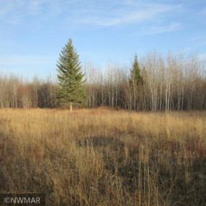 Photo for 1066 County Road 1 SE, Baudette, MN 56623 - Listing #5682950 1066 County Road 1 SE, Baudette, MN 56623