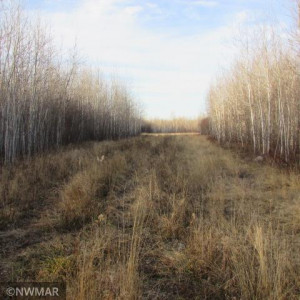 Photo for 1066 County Road 1 SE, Baudette, MN 56623 - Listing #5682950 1066 County Road 1 SE, Baudette, MN 56623